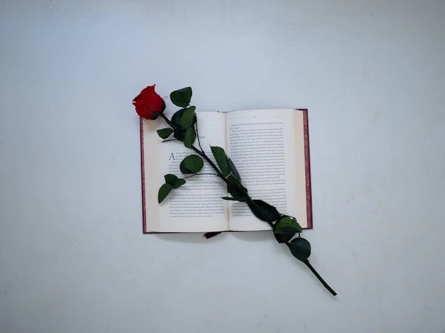 9 Mystery Romantic Books to Read Next