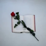 Read more about the article 9 Mystery Romantic Books to Read Next